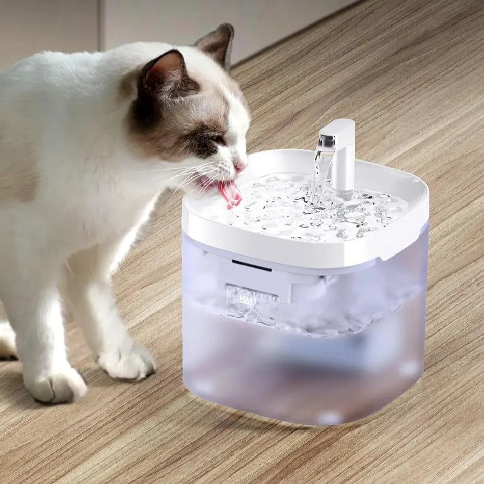 Automatische Transparante Huisdier Waterfontein | Slimme Drink Dispenser voor Katten en Honden - Juarez
