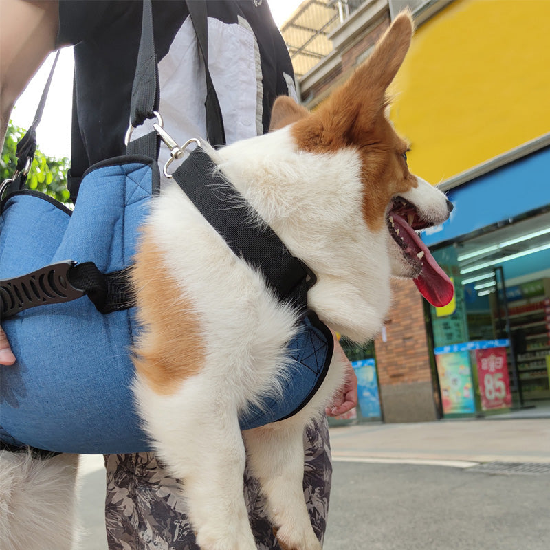 Ondersteuningsharnas voor honden - HarnCare