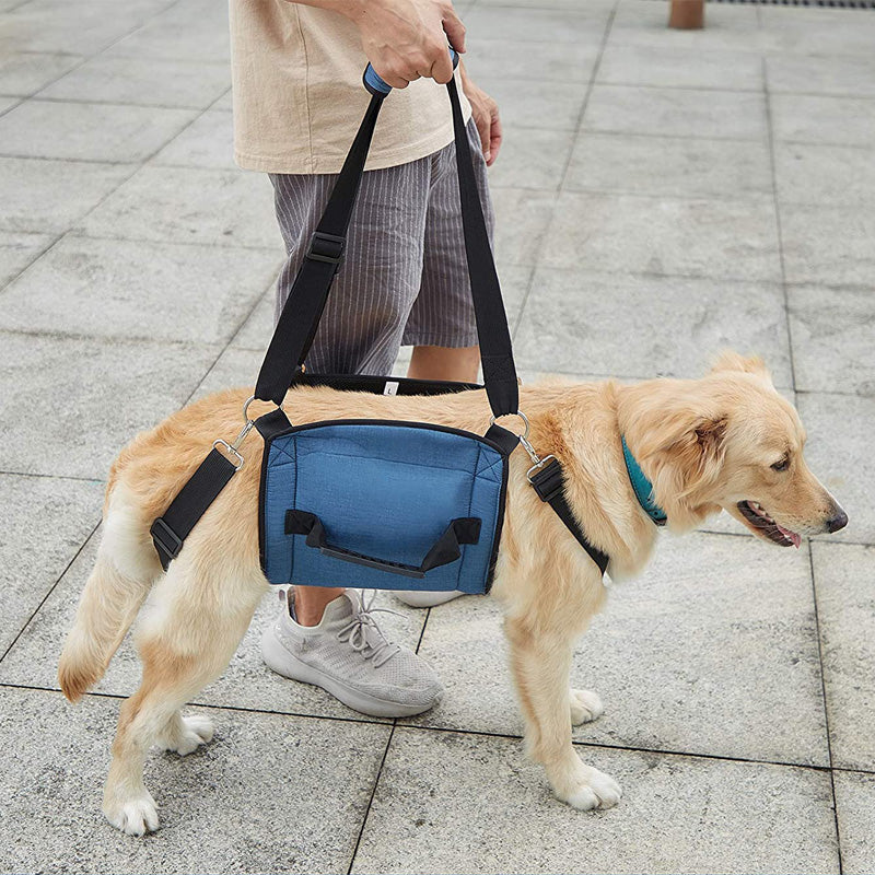 Ondersteuningsharnas voor honden - HarnCare