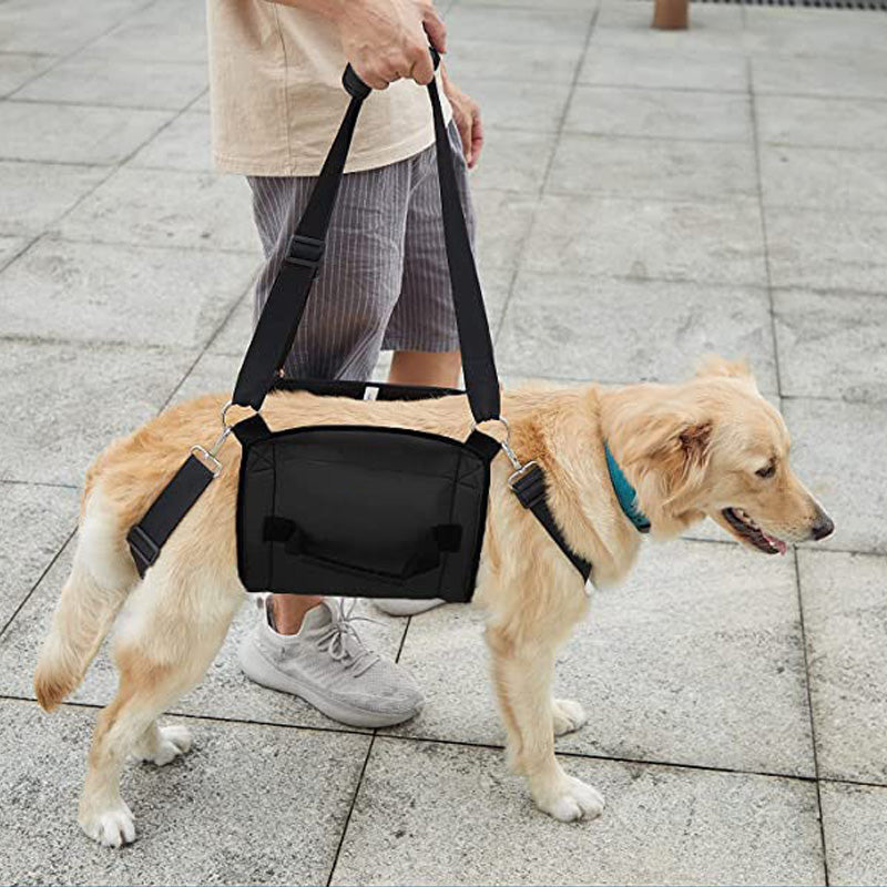 Ondersteuningsharnas voor honden - HarnCare