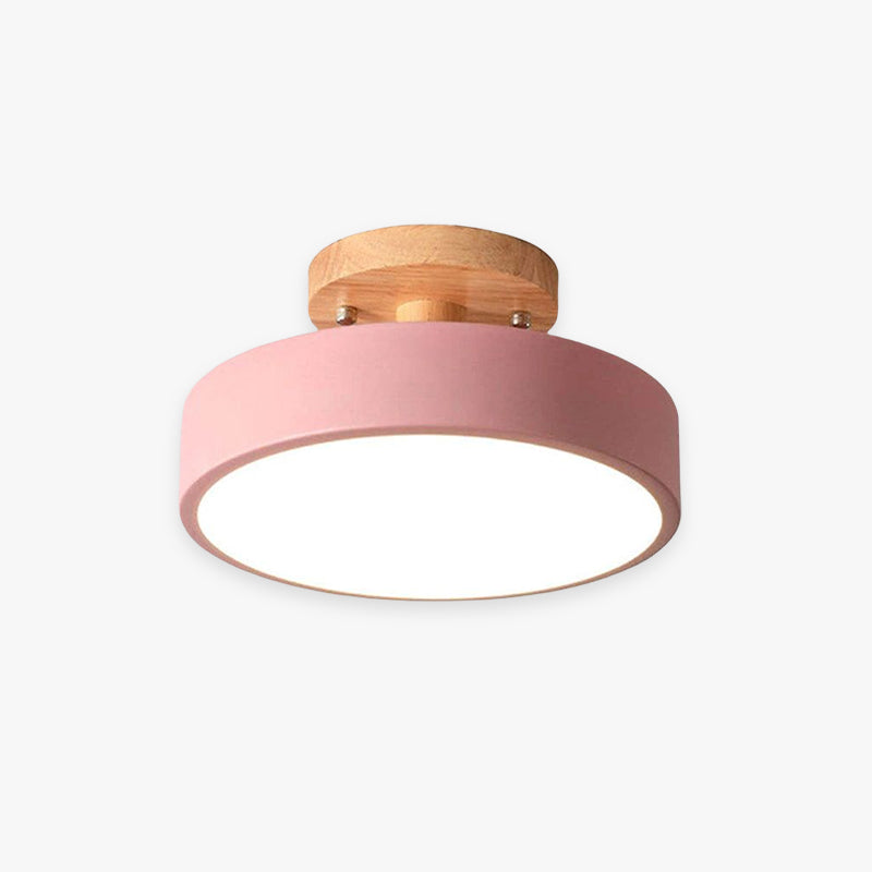 Quinn Moderne LED Plafondlamp - Conn