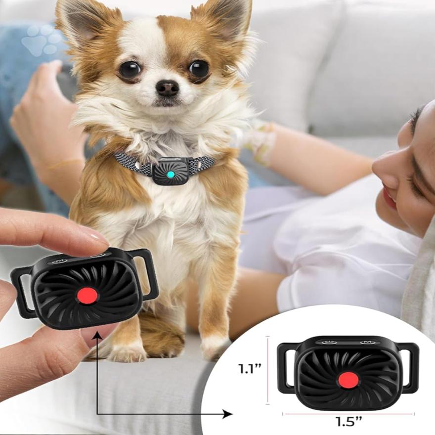 Anti-blafhalsband voor kleine honden - Dorry