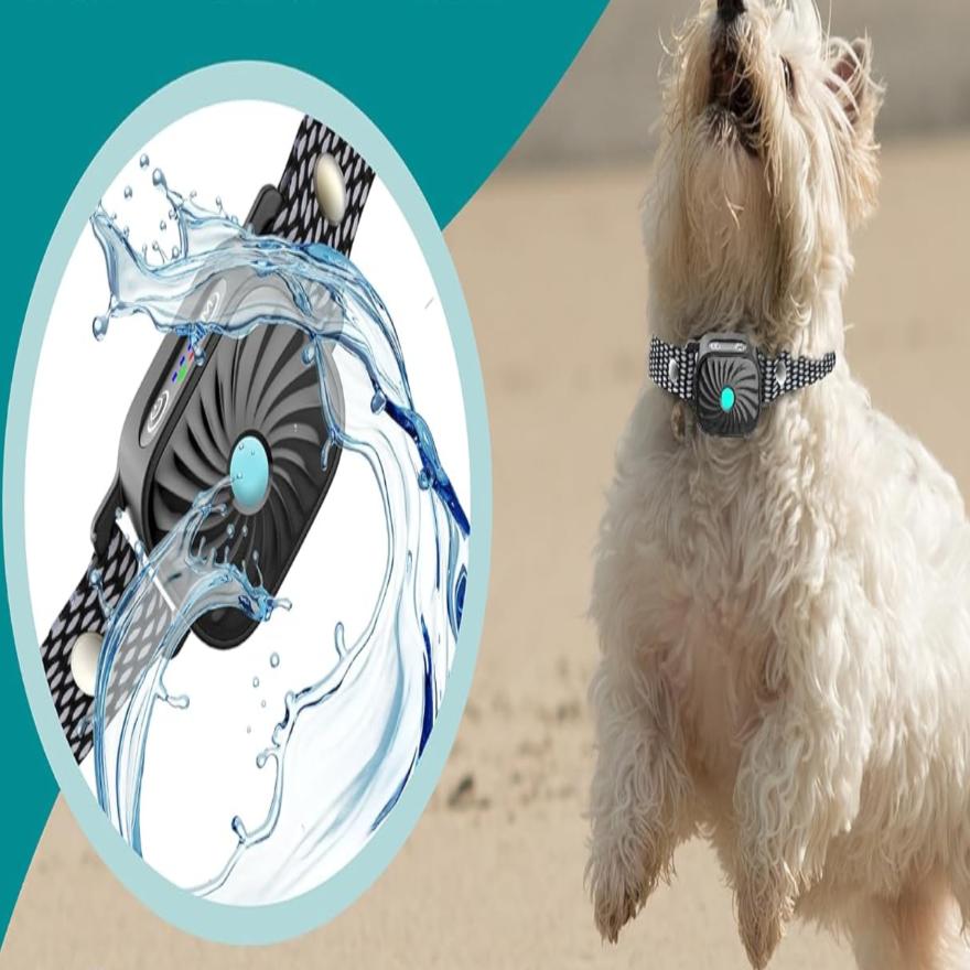 Anti-blafhalsband voor kleine honden - Dorry