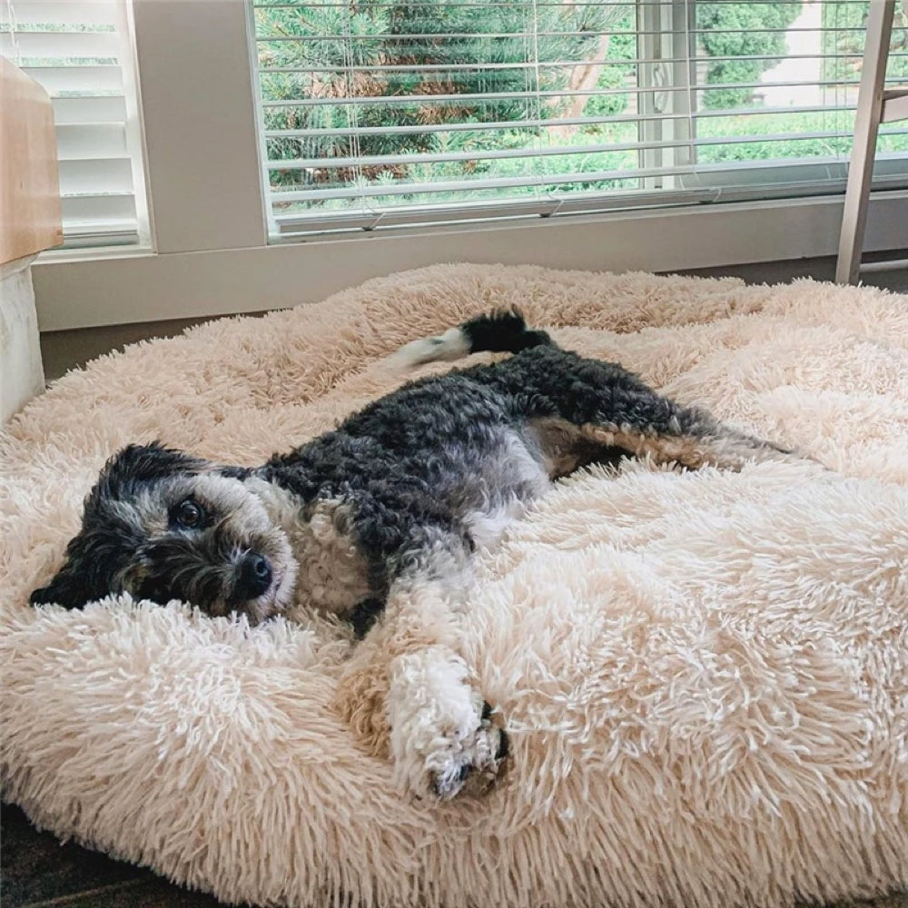 Donutvormig Huisdierbed van Ademend Pluche Katoen voor Honden en Katten - Adam