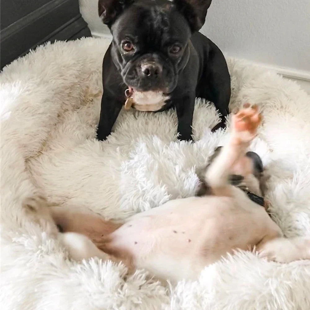 Donutvormig Huisdierbed van Ademend Pluche Katoen voor Honden en Katten - Adam