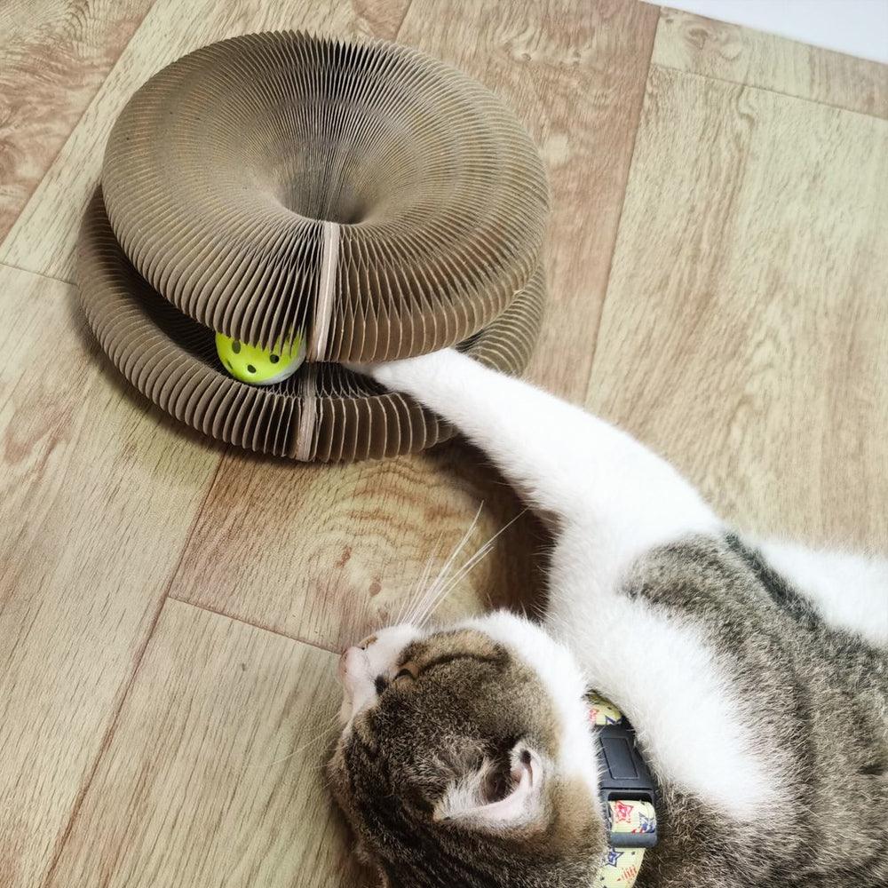 Kattenspeelgoed tegen krabben | Lux Cat Cordion - Colly