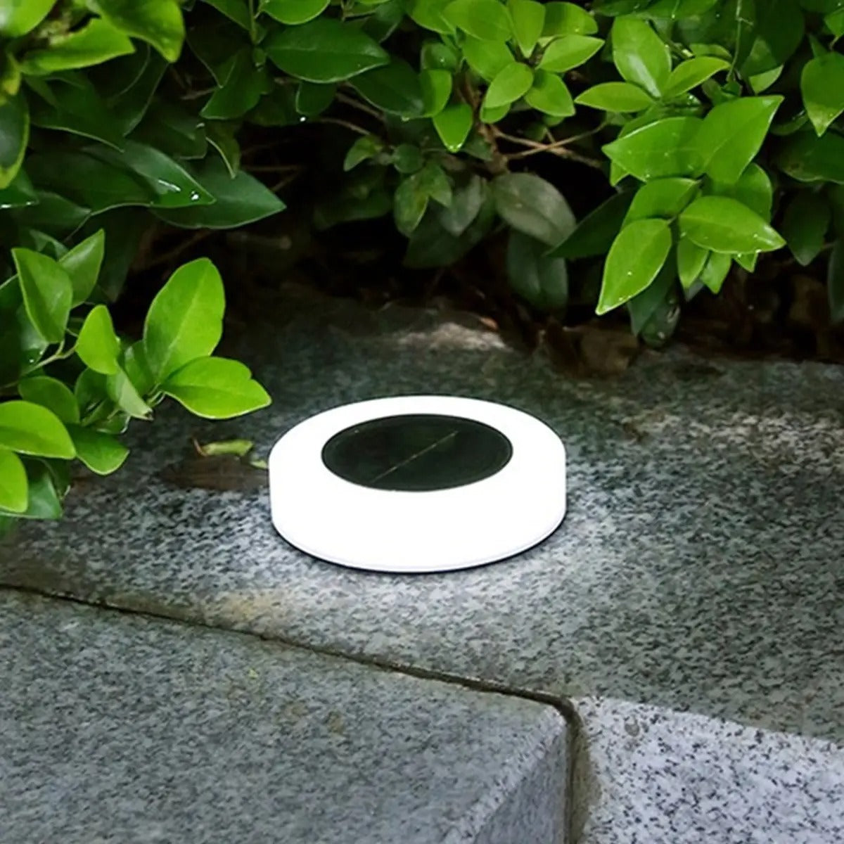 Luxe & Functionele Solar Grondlampen - 4 stuks | GardenGlow