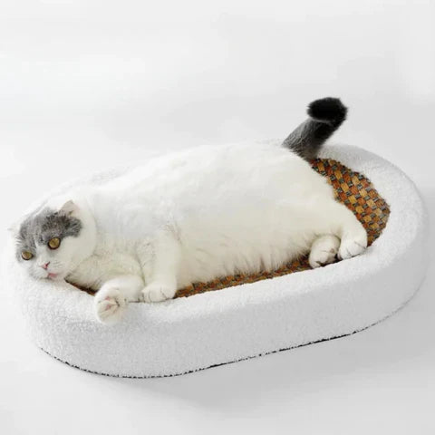 Krabbed voor katten | Bescherm uw meubels - Begie